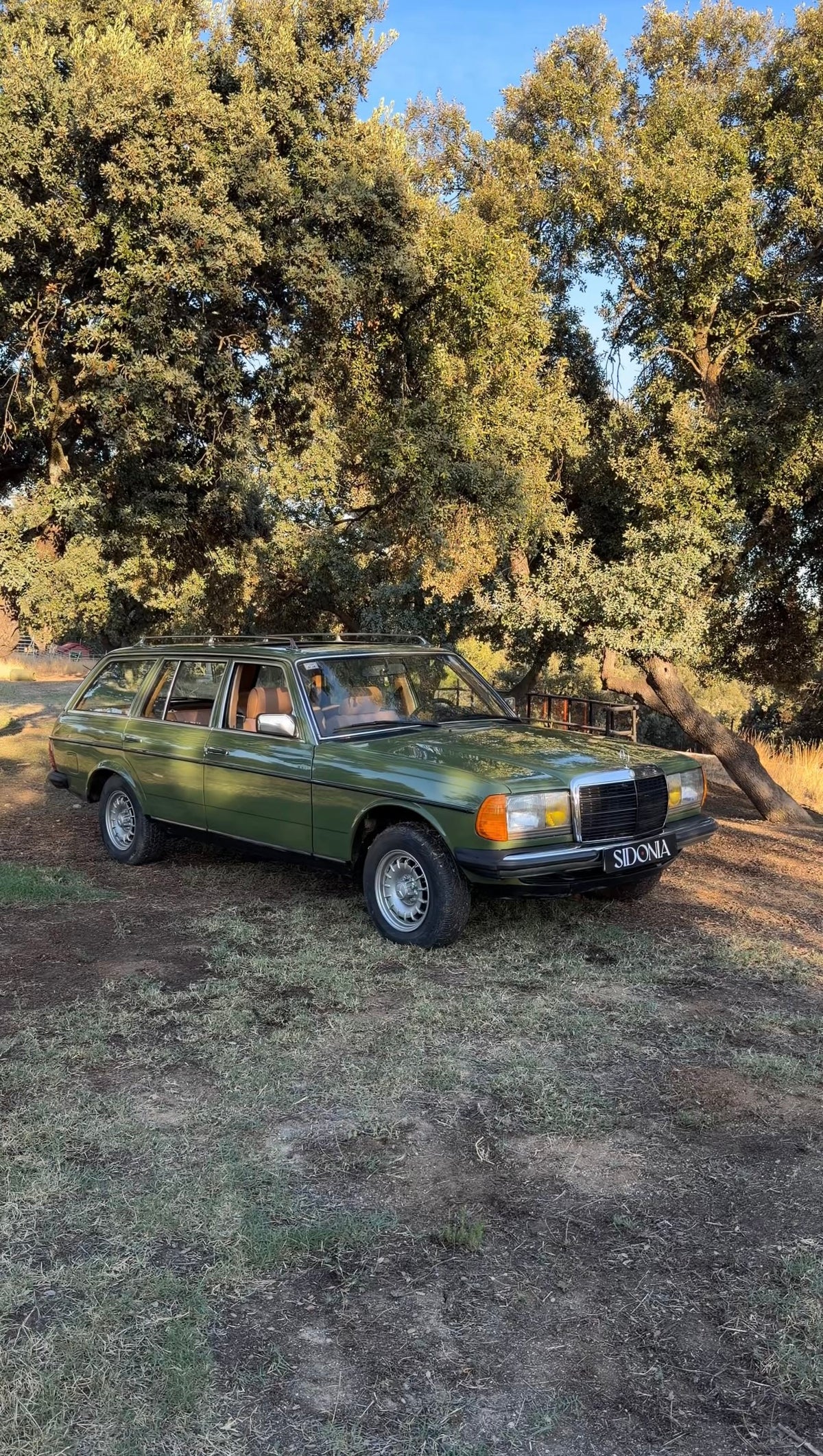 MERCEDES-BENZ 250T 1979