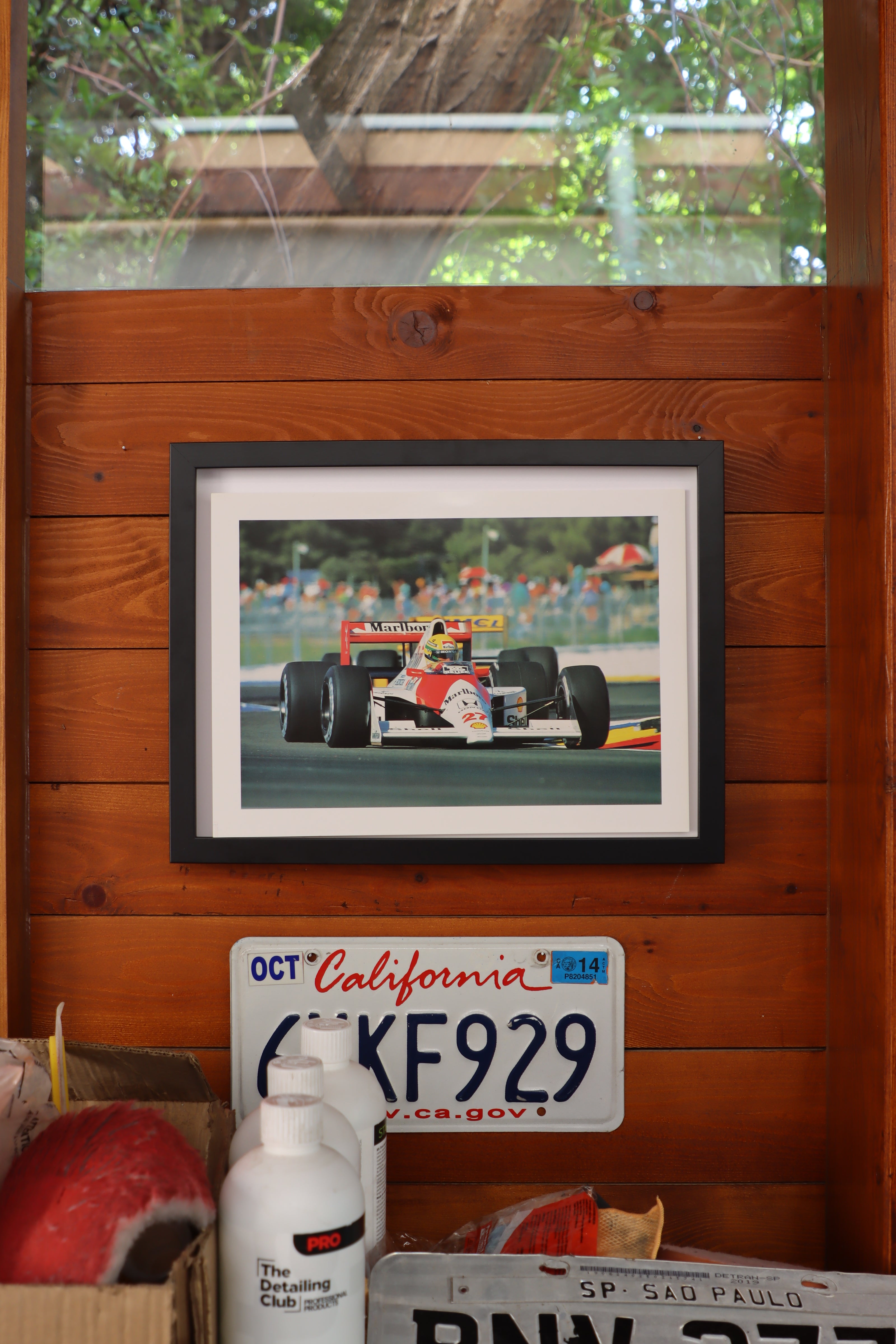 SENNA 17
