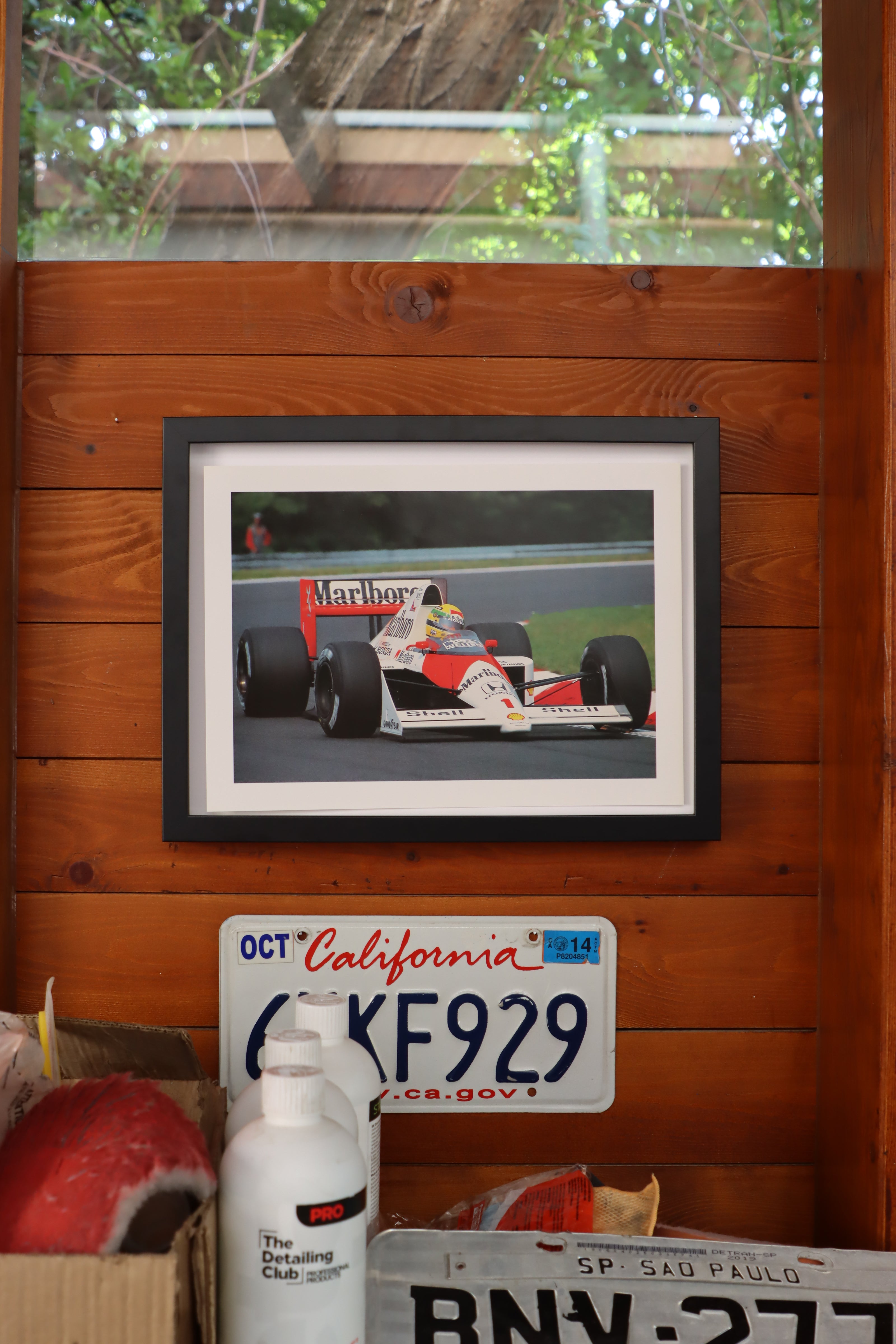 SENNA 16