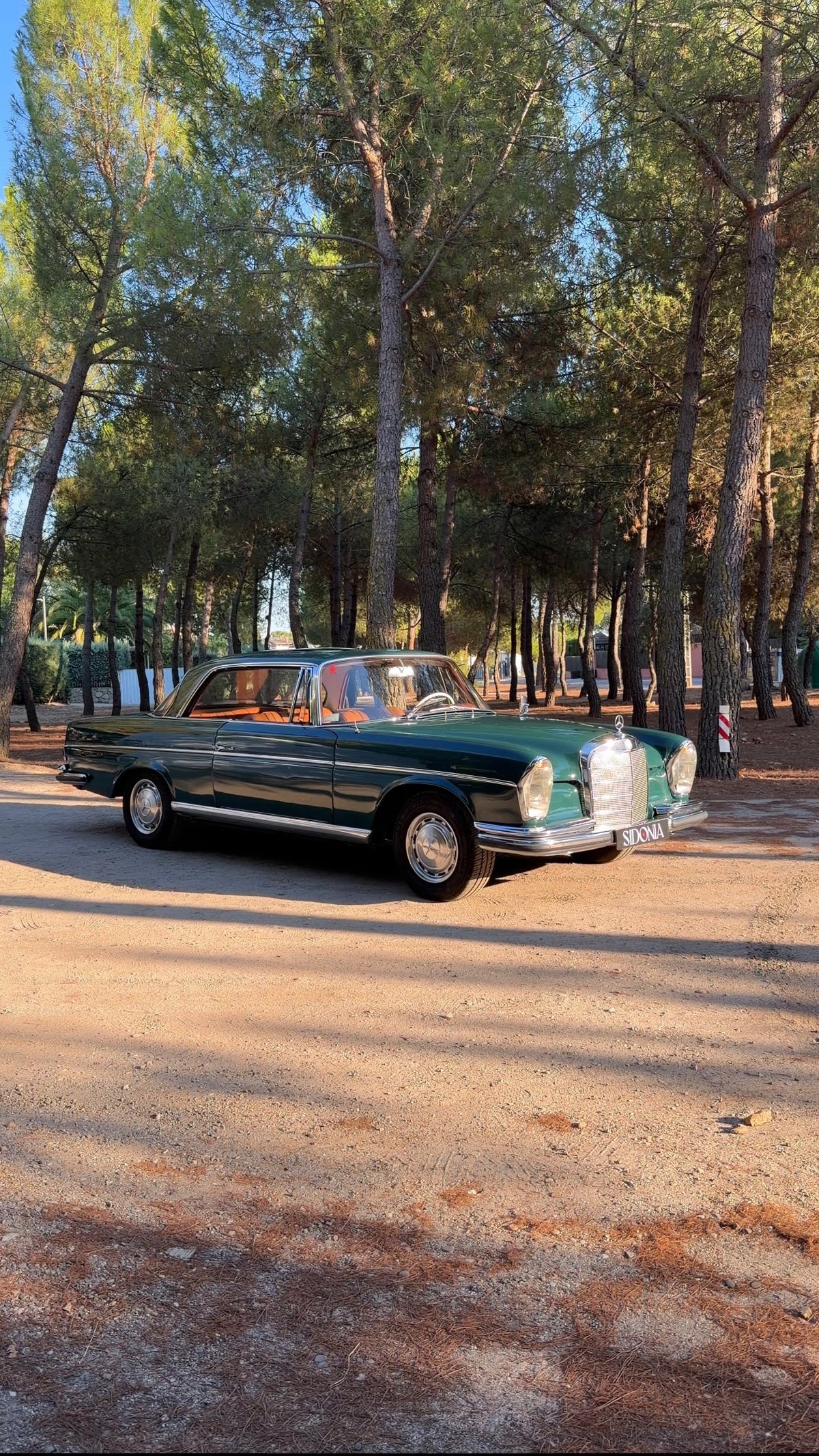 MERCEDES-BENZ 220 SEB COUPÉ 1963