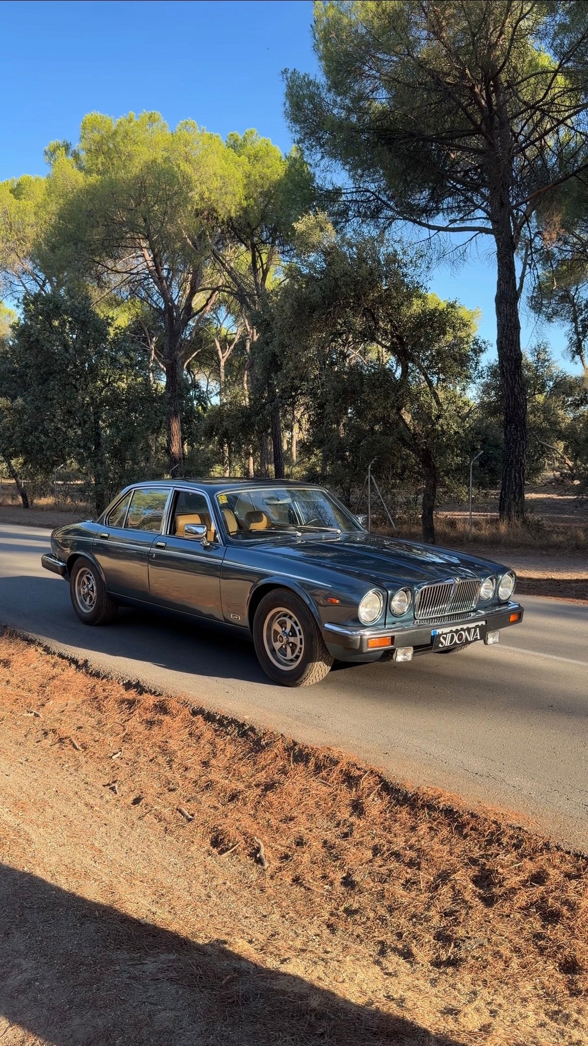 JAGUAR XJ12 5.3 HE 1982