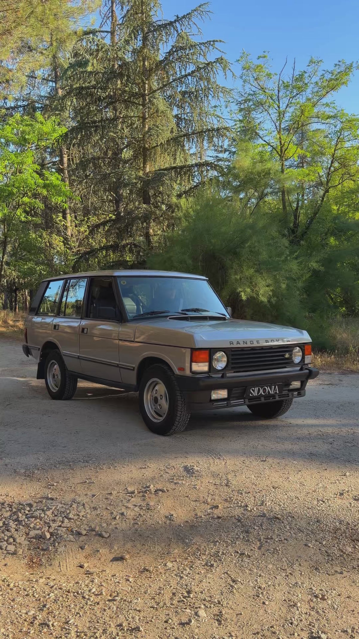 RANGE ROVER CLASSIC VOGUE SE 3.9 1993