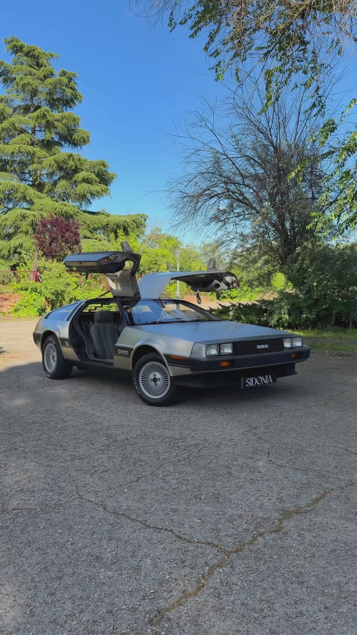 DMC DELOREAN 1981