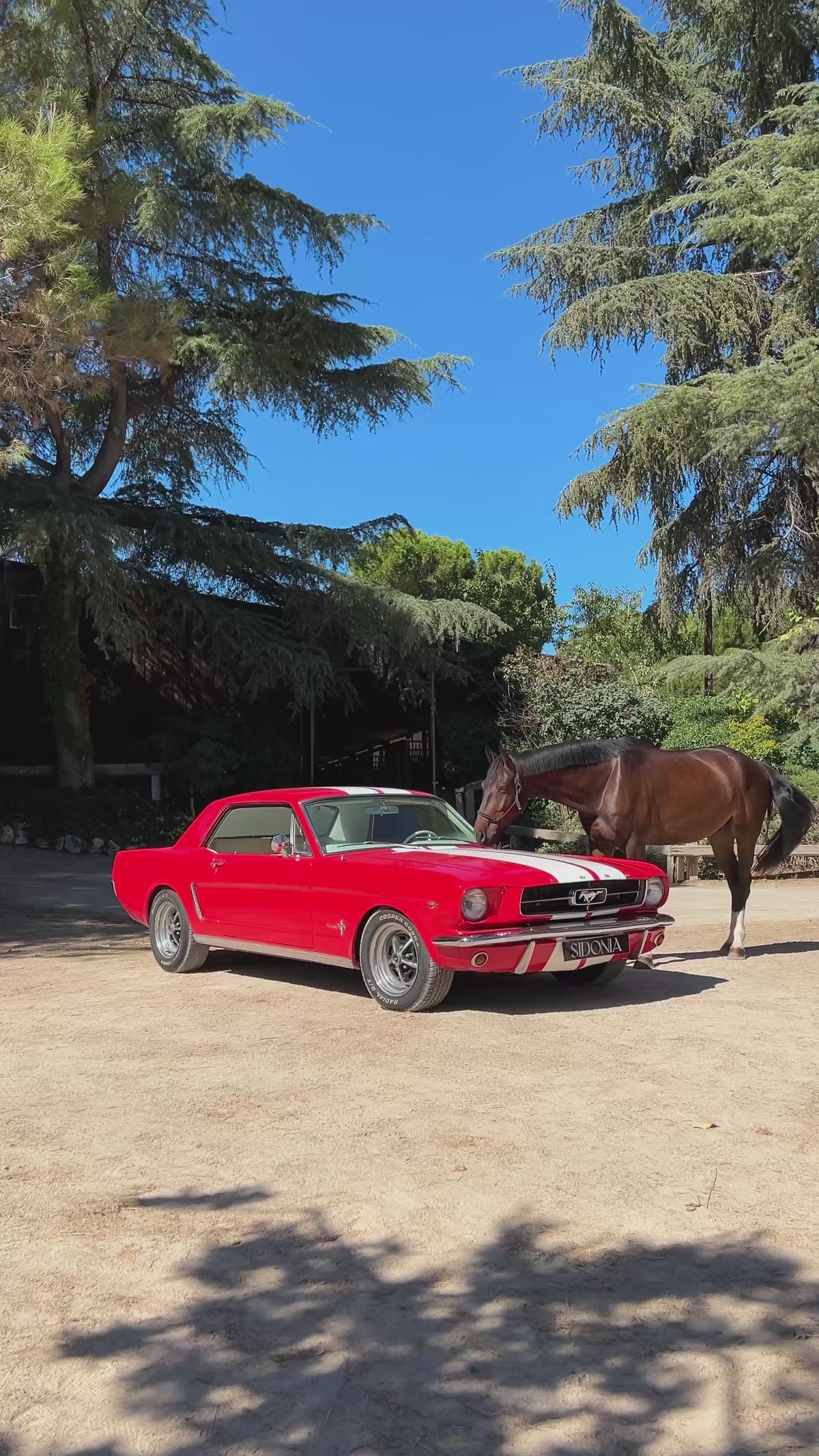 FORD MUSTANG 1965