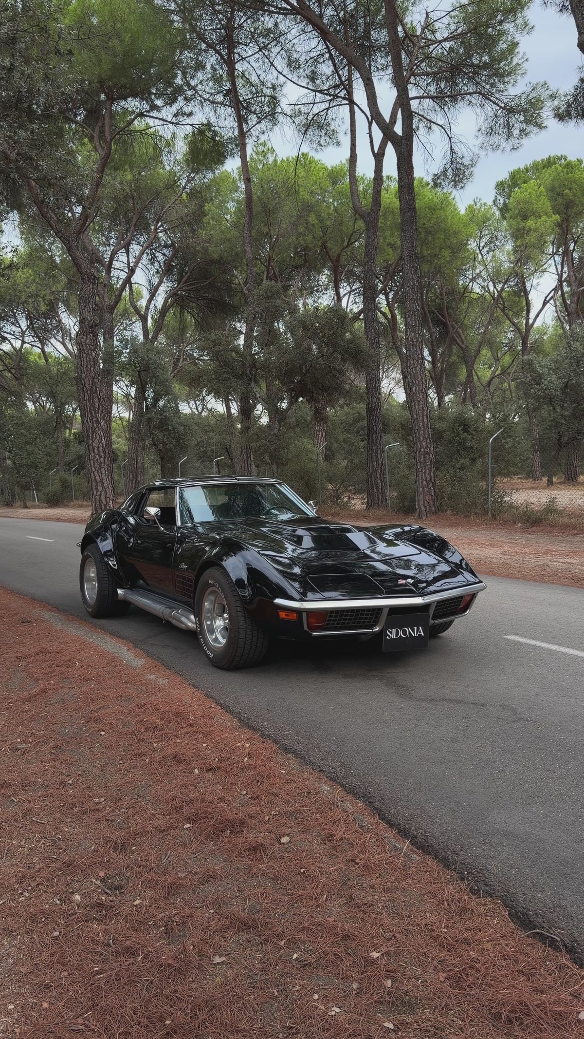 CHEVROLET CORVETTE C3 Z STINGRAY 454 1972