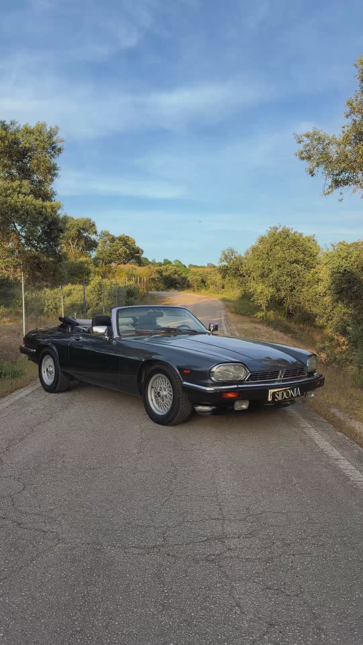 JAGUAR XJS V12 5.3L 1991