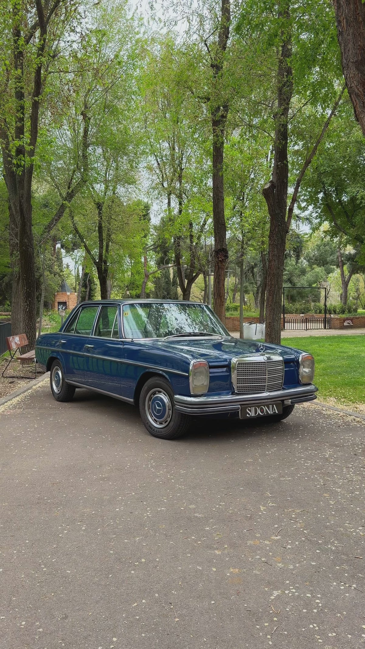 MERCEDES-BENZ 250S 1974