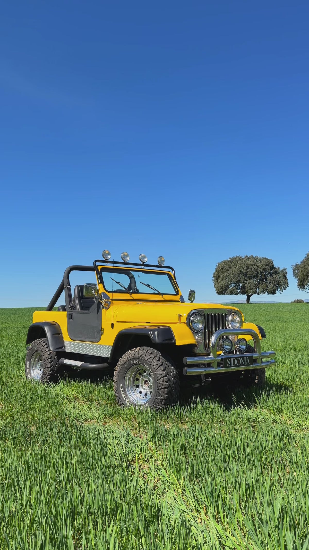 JEEP CJ-7 V8 LS1 1980