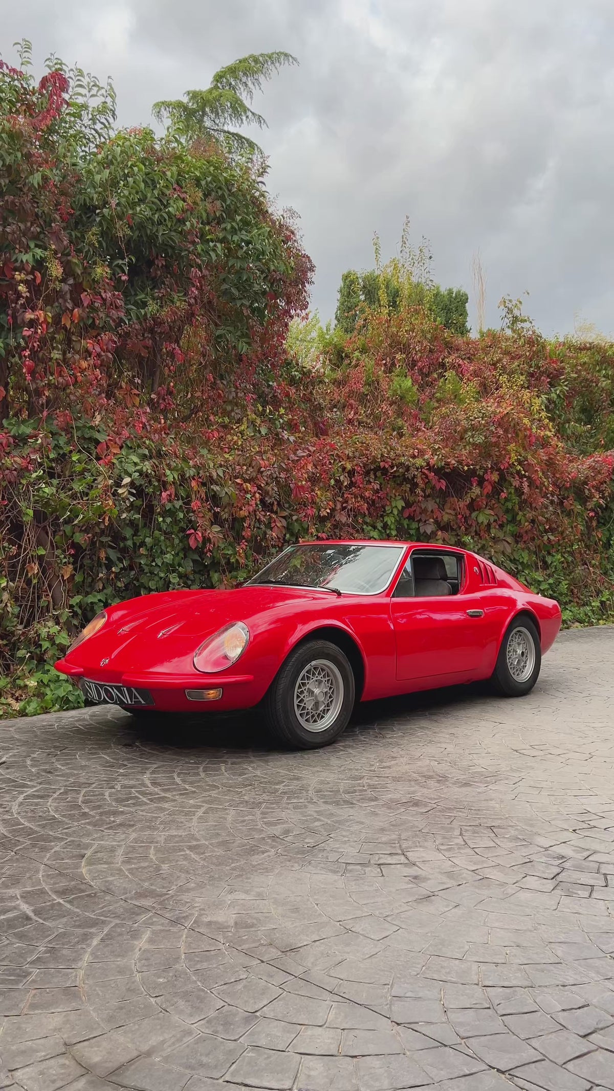 PUMA GT 1970