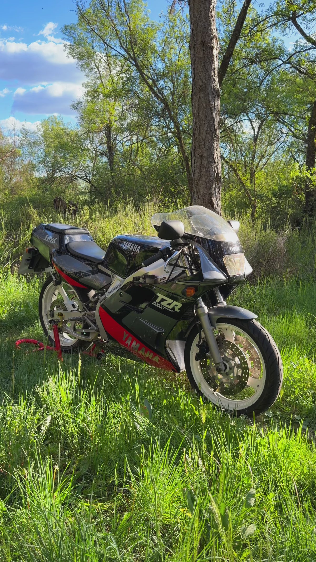 YAMAHA TZR 250 3MA RSE 1989