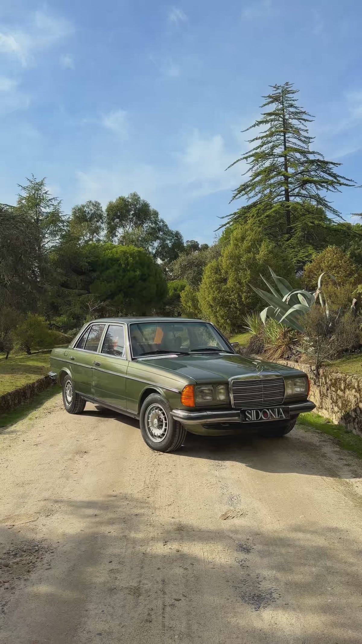 MERCEDES-BENZ 280 1976