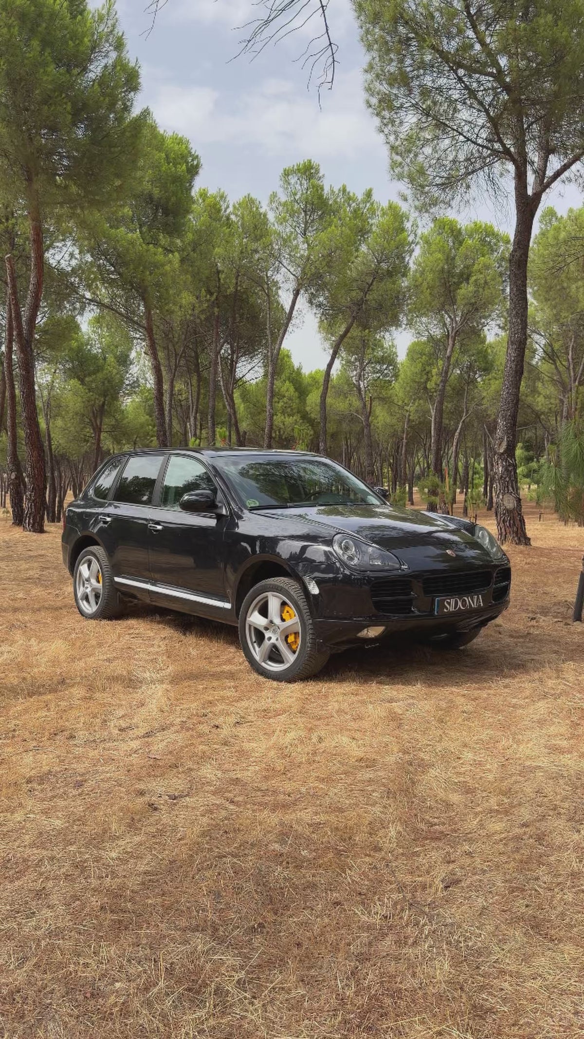 PORSCHE CAYENNE S 2004