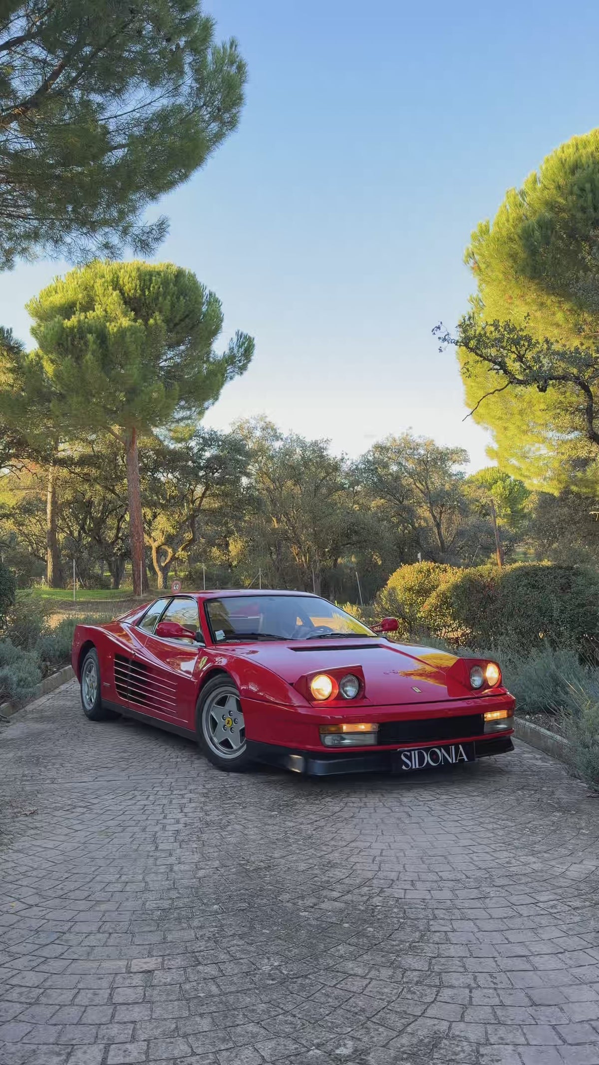 FERRARI TESTAROSSA 1989