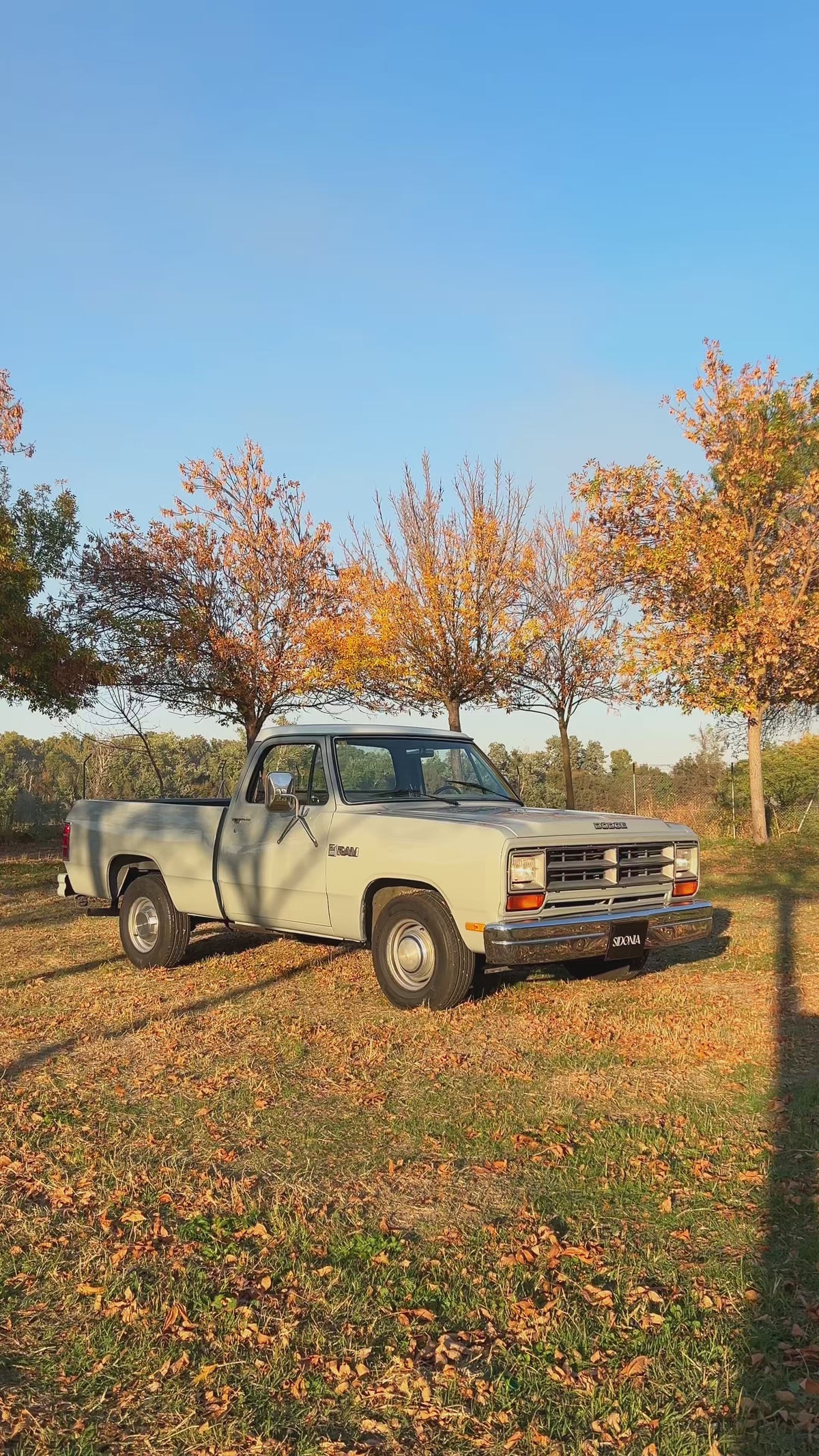DODGE RAM D150 1986