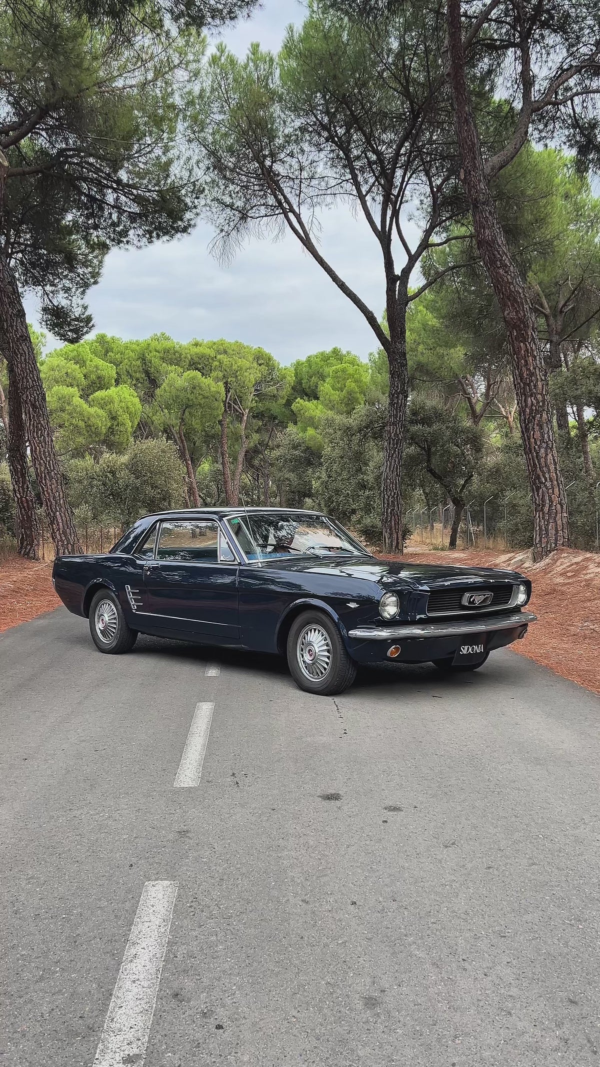 FORD MUSTANG 1966