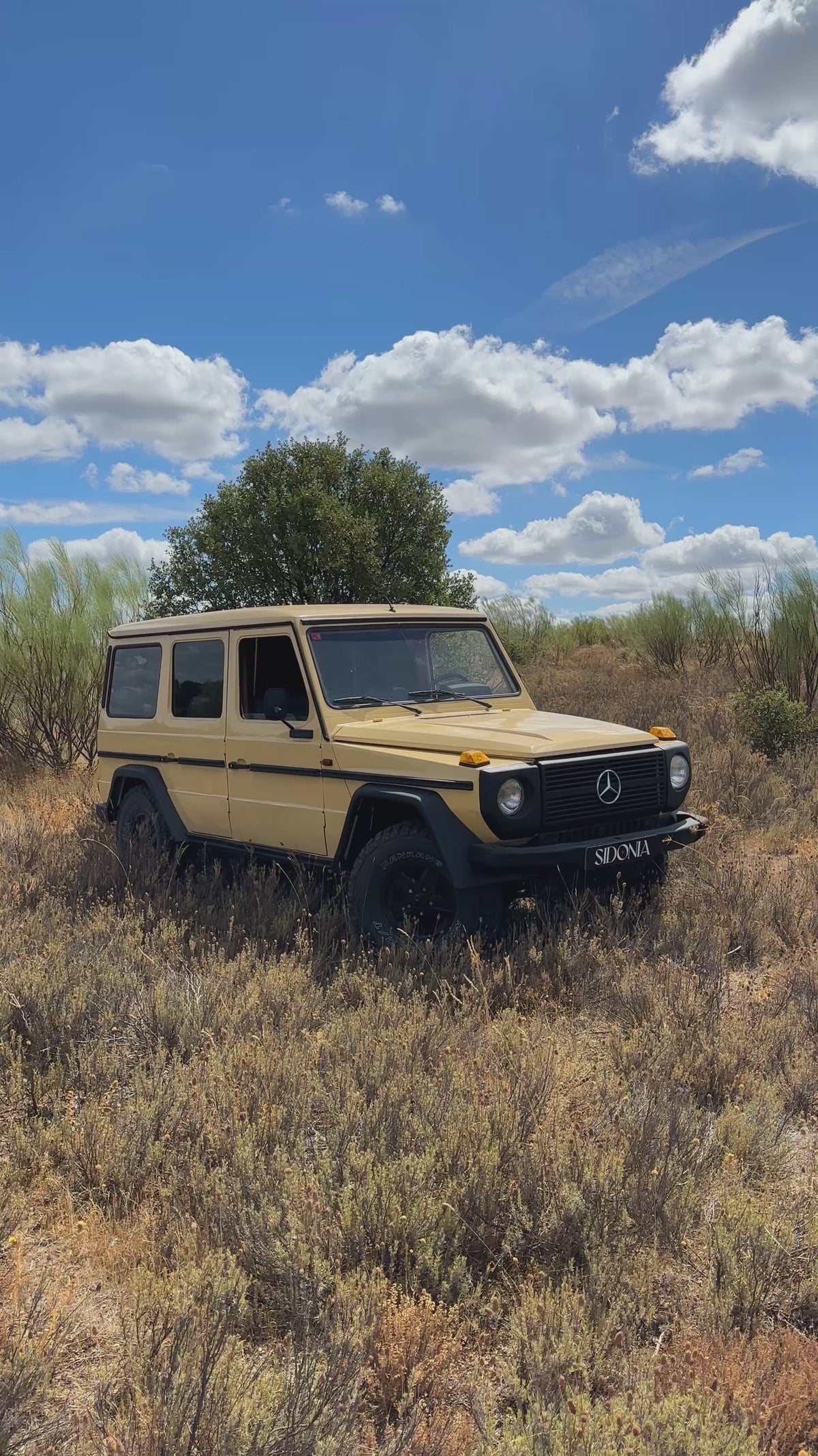 MERCEDES-BENZ CLASE G 300GD 1981