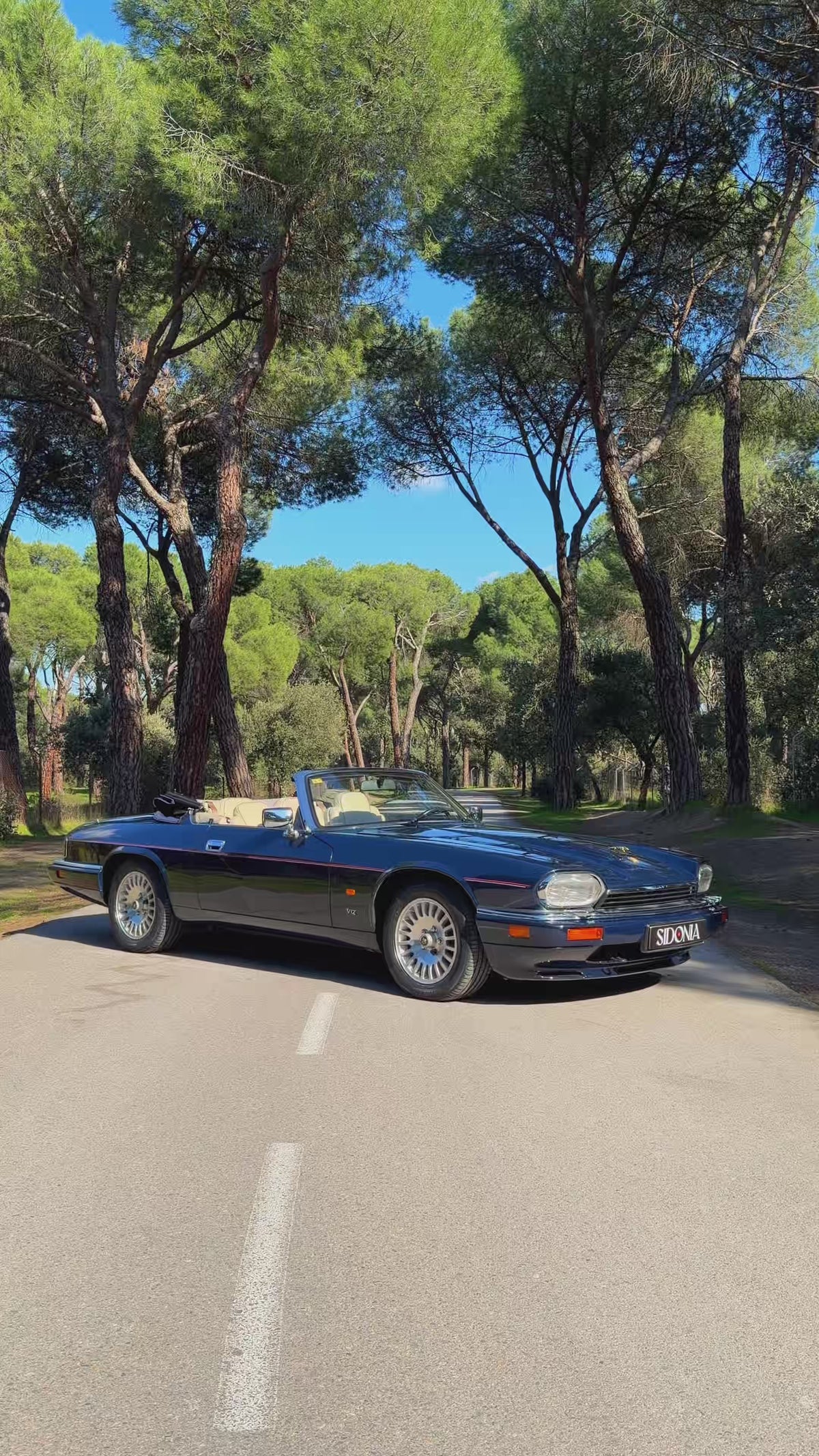 JAGUAR XJS V12 6.0 CONVERTIBLE 1994