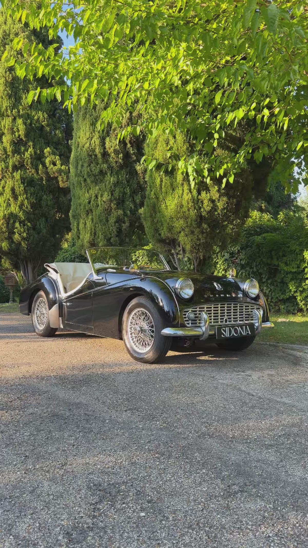 TRIUMPH TR3A 1960