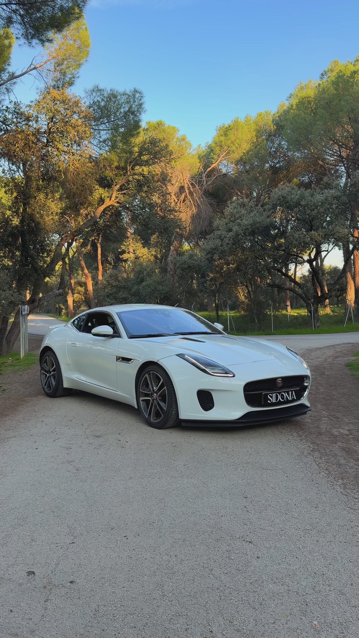 JAGUAR F-TYPE 2019